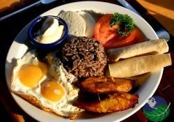 Gallo Pinto Vegetarian
