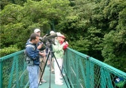 Sky Walk Tourists
