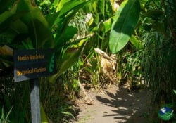 Laguna Lodge Tortuguero - Hotel & Resort in Costa Rica