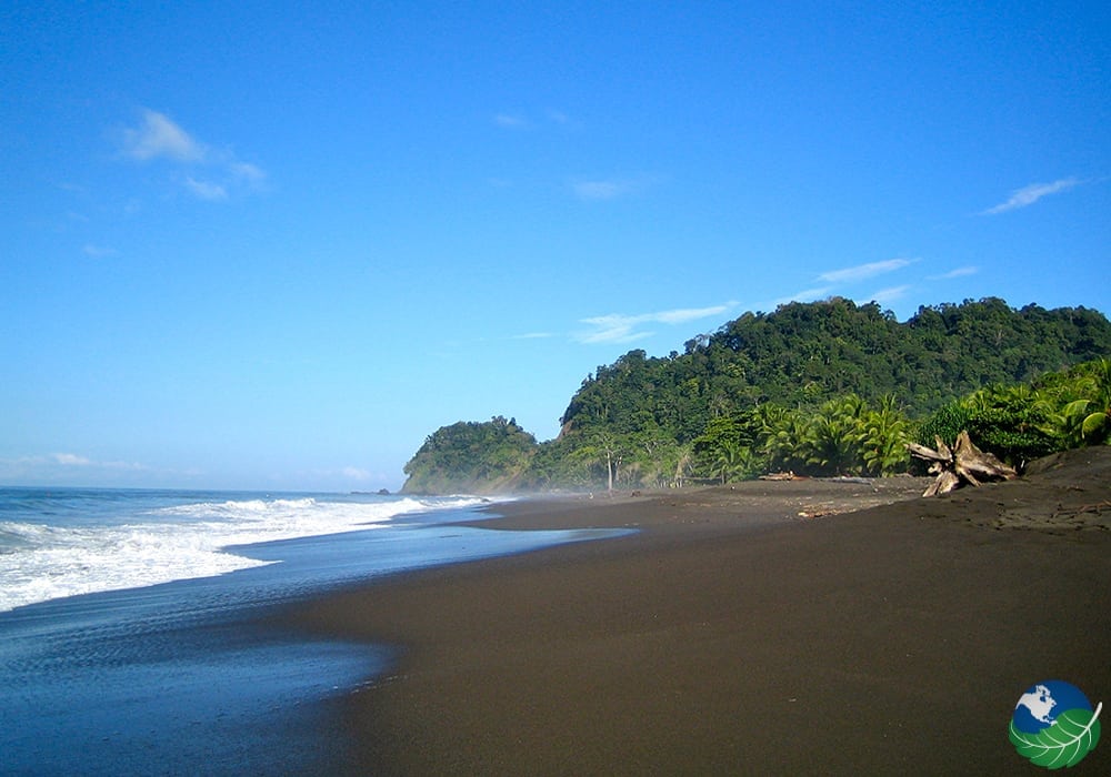 Hermosa Beach Costa Rica - Awesome Surfing Beach near Jaco!