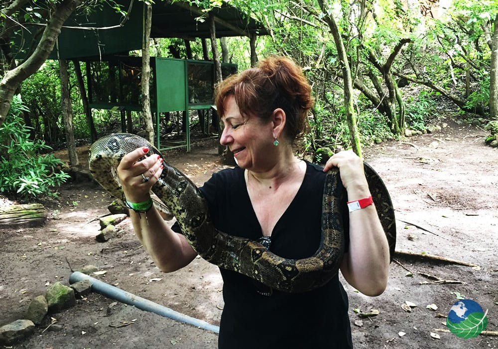 Client Holding a Snake